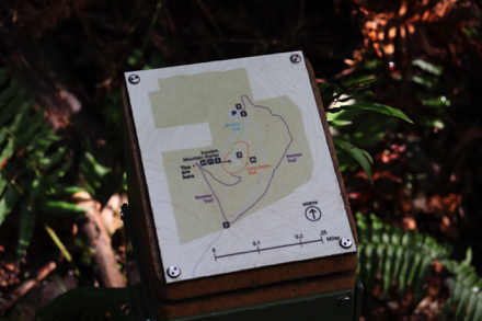 Trail map on top of trail signage – “you are here” is starred